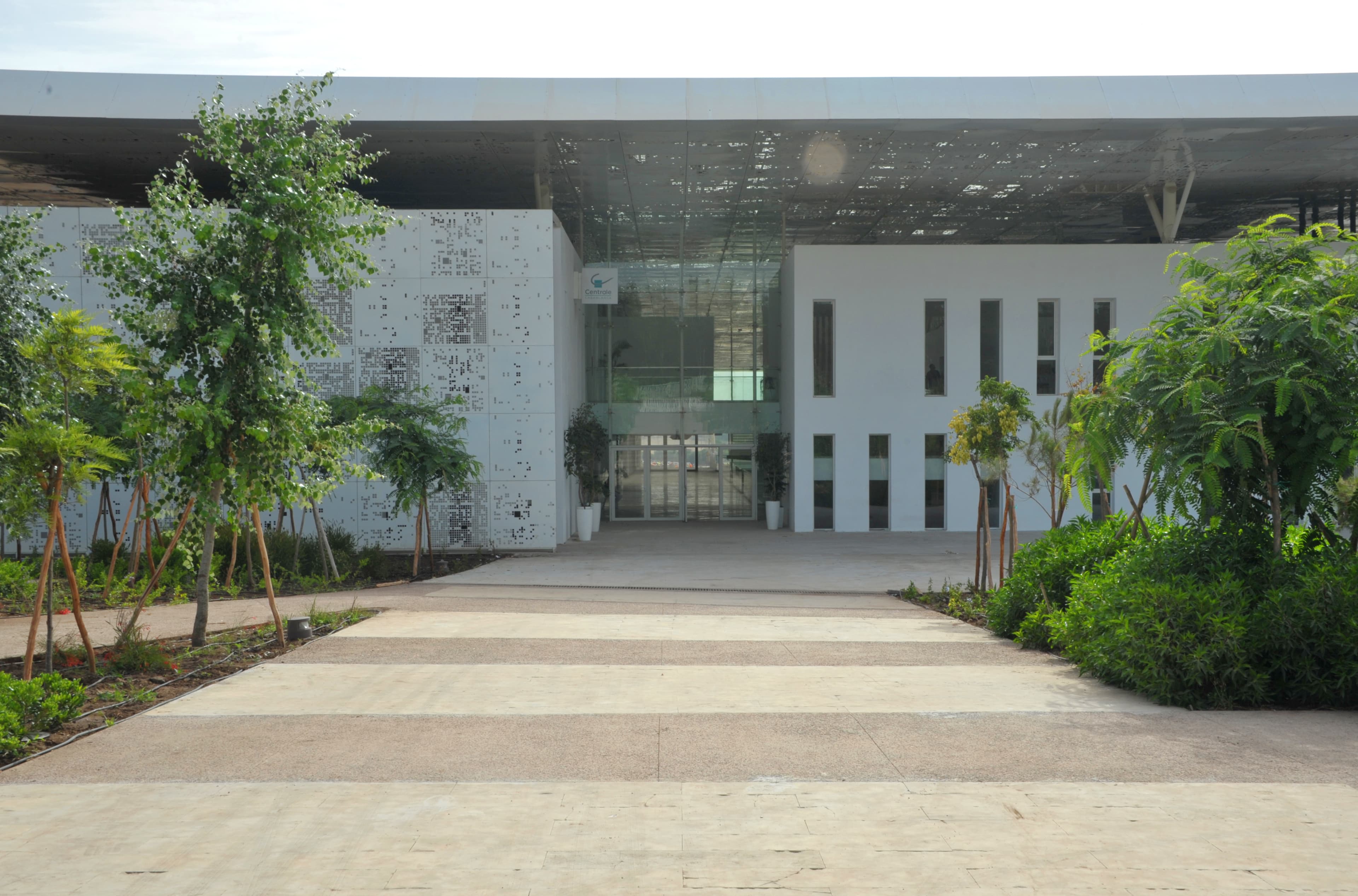 Forum ECC Background